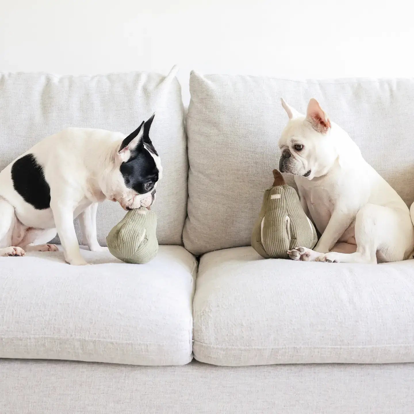 Butternut Silent Toy Squeakers
