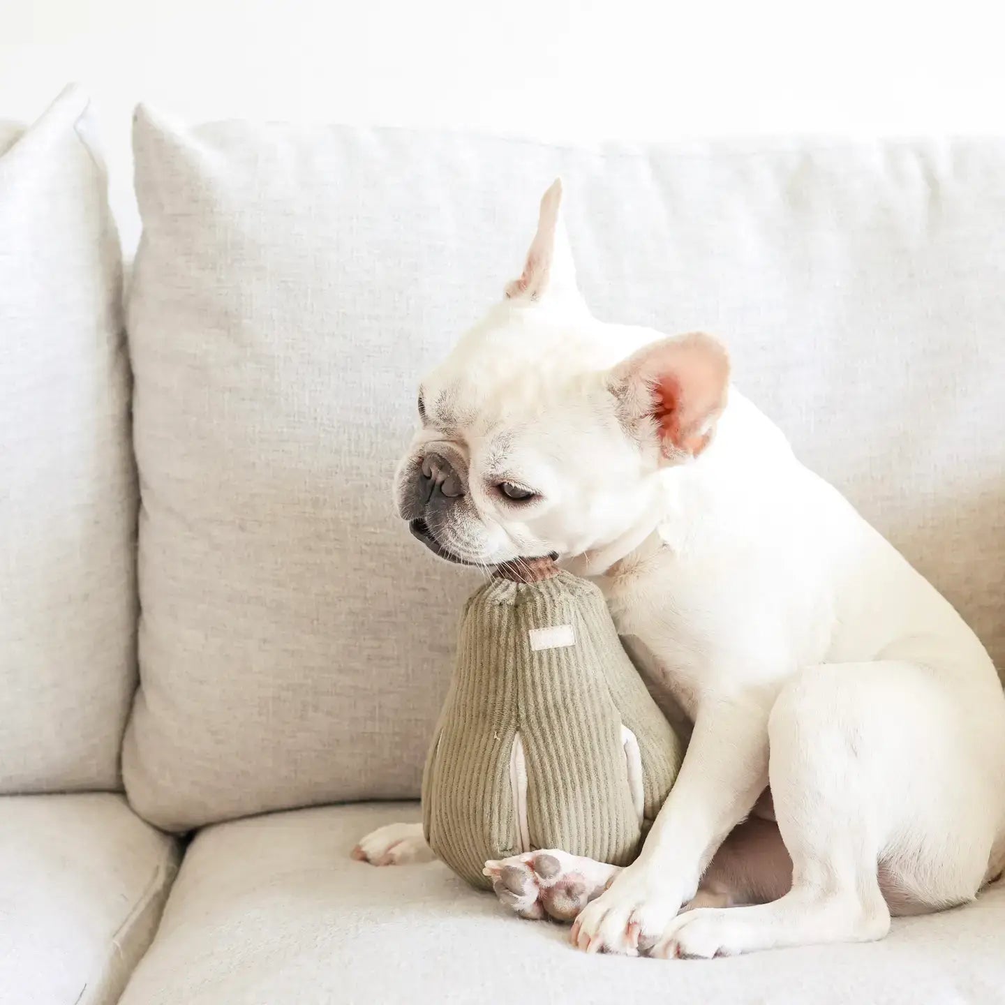 Butternut Silent Toy Squeakers