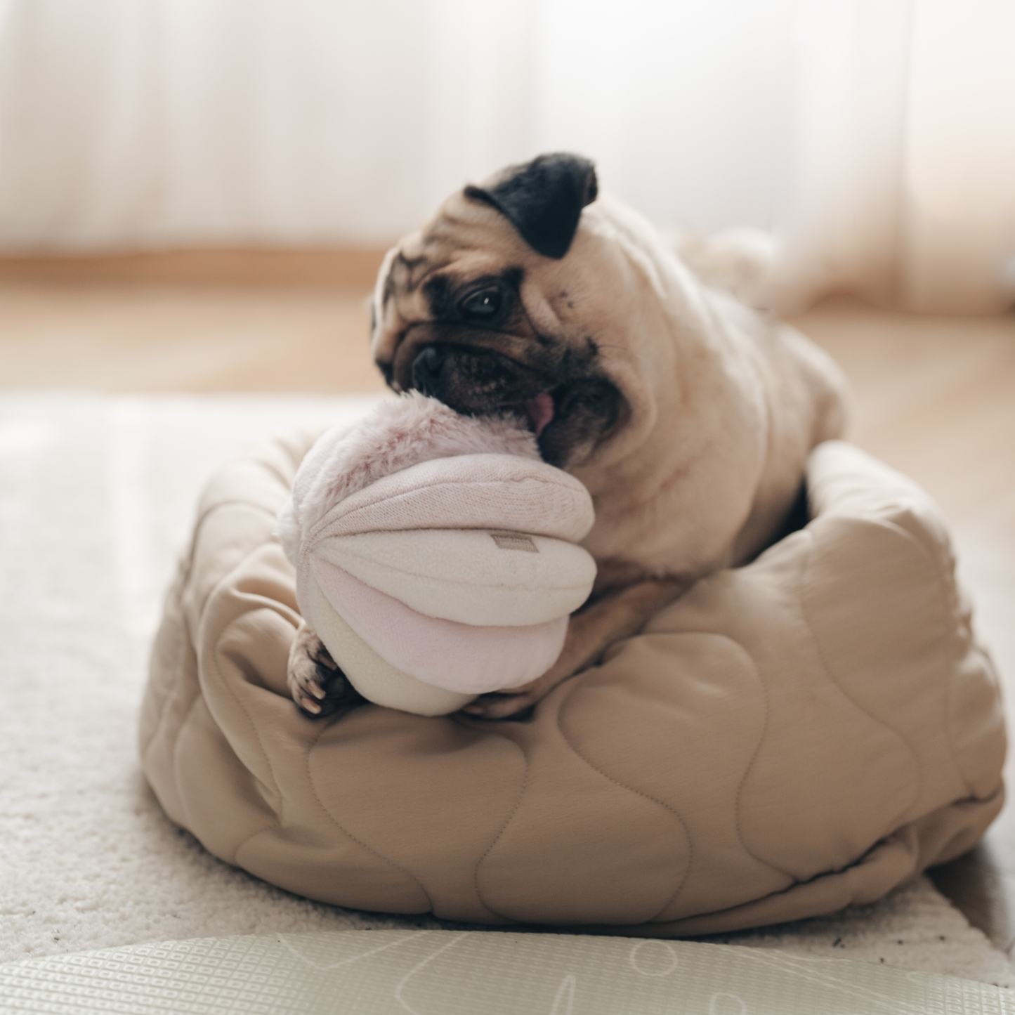Toto Enrichment Dog Toy