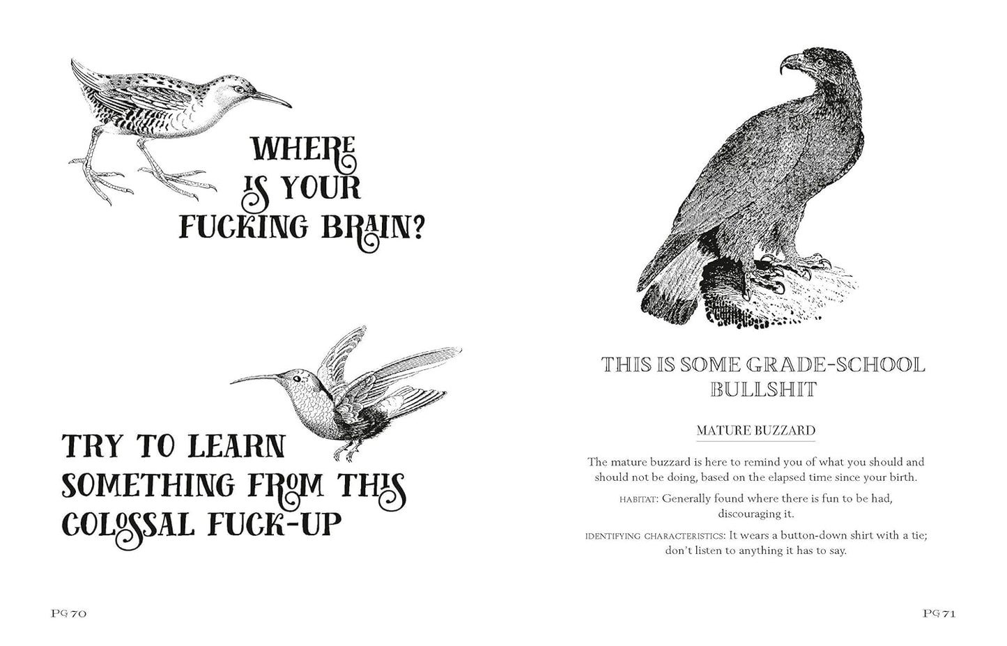 Effin' Birds: A Field Guide to Identification