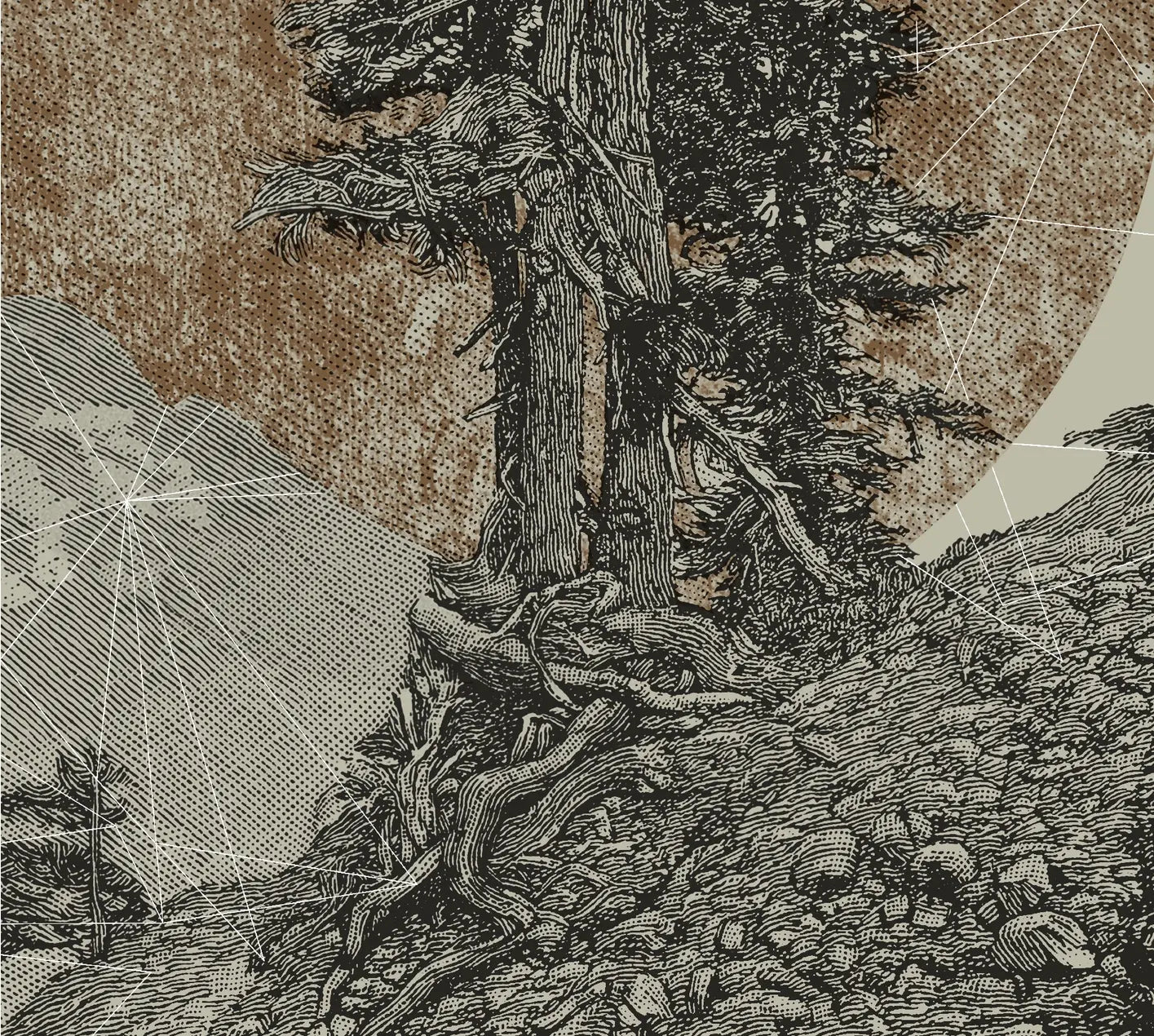 Timberline T-Shirt Small