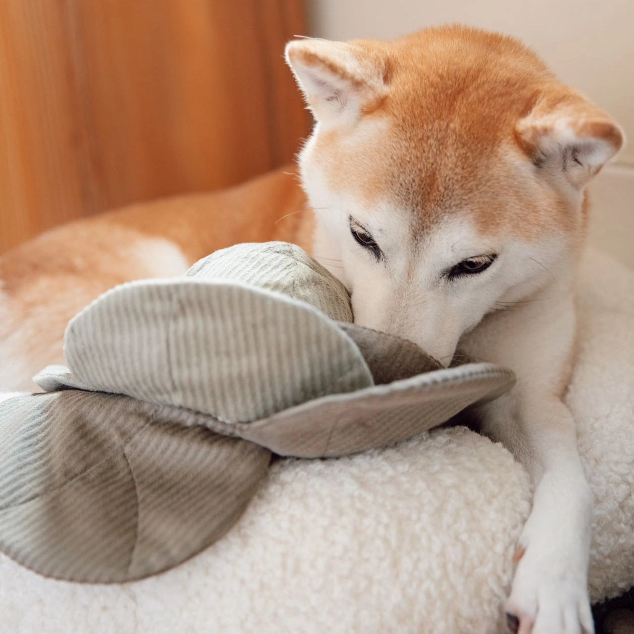 Cabbage Enrichment Toy