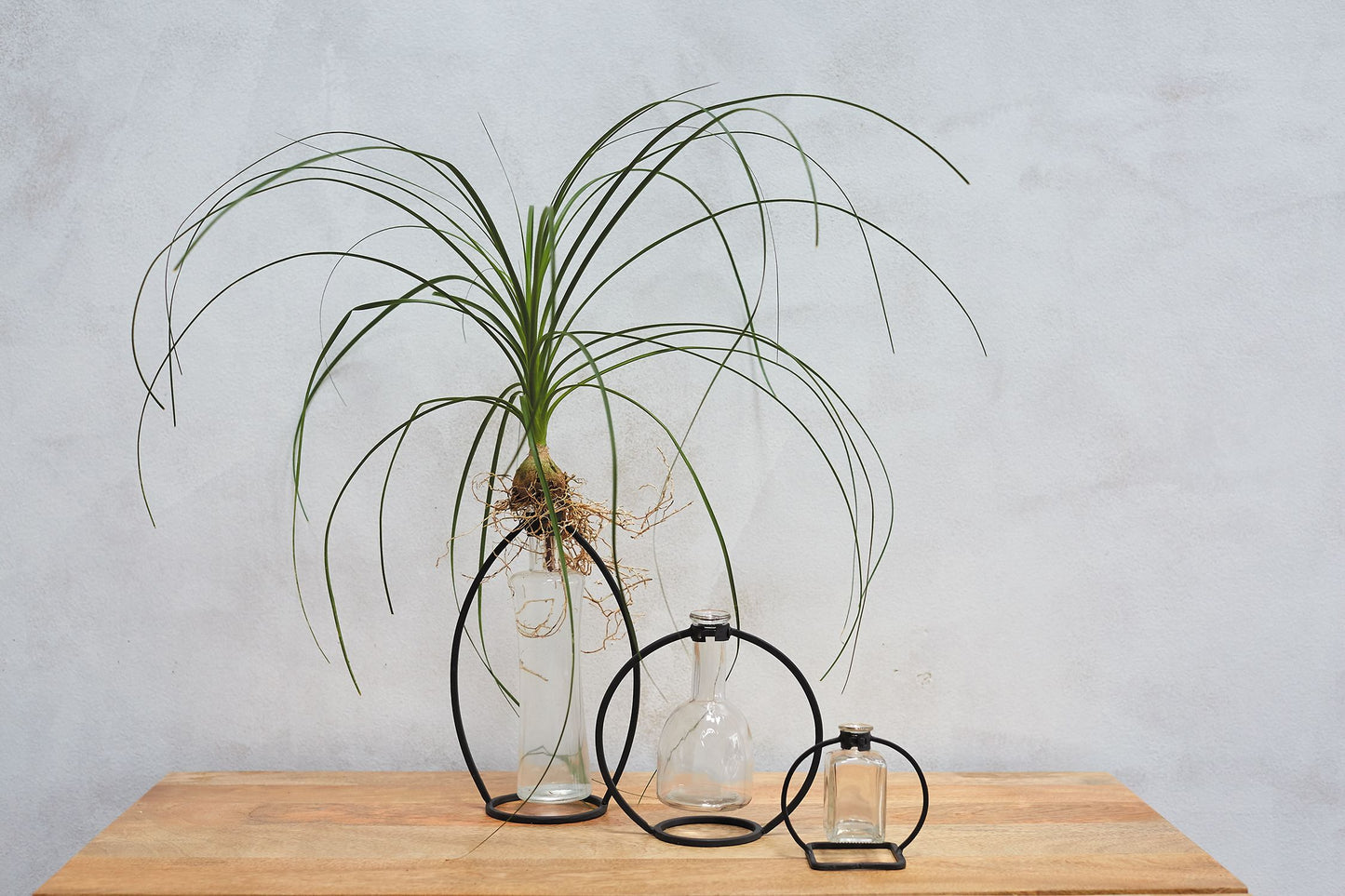 Iron Budvase - Circular