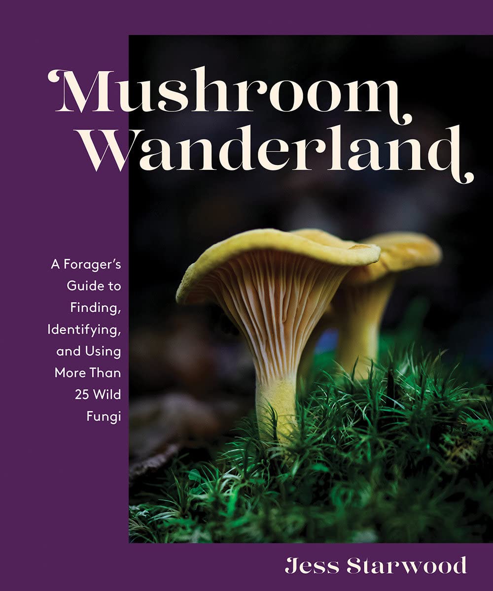 Mushroom Wanderland