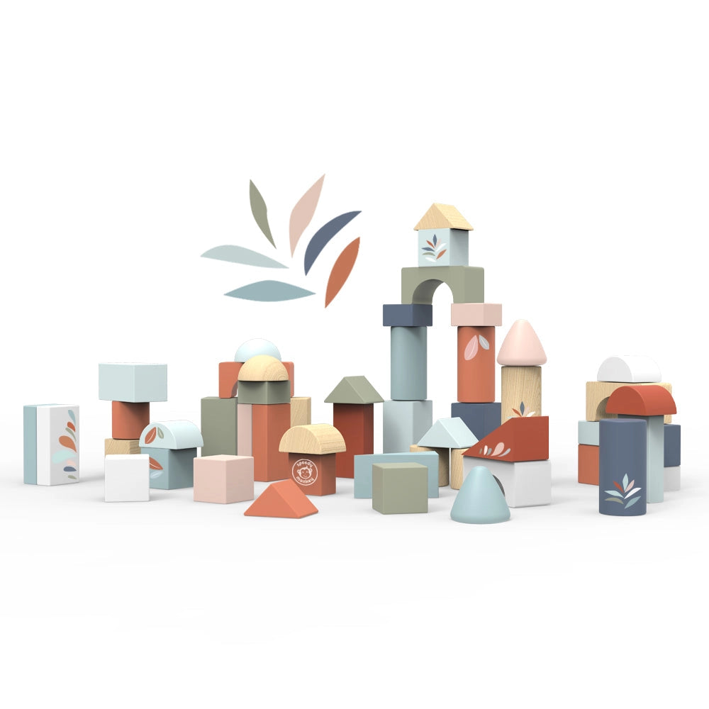 Wooden Building Blocks (50 Pieces)