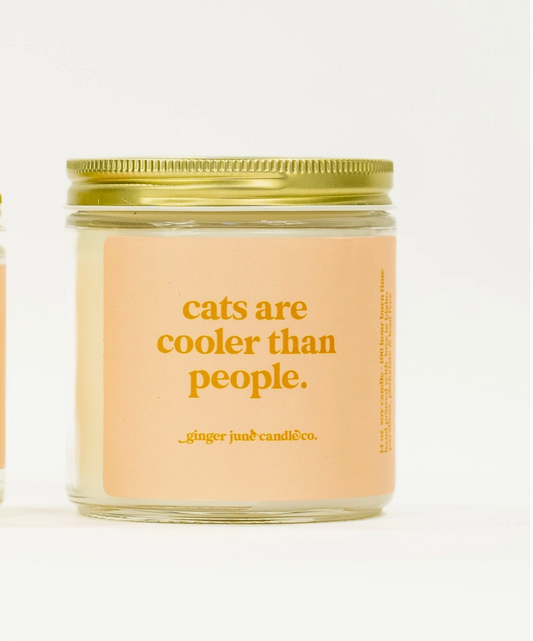 Cats Are Cooler Than People - Endless Summer