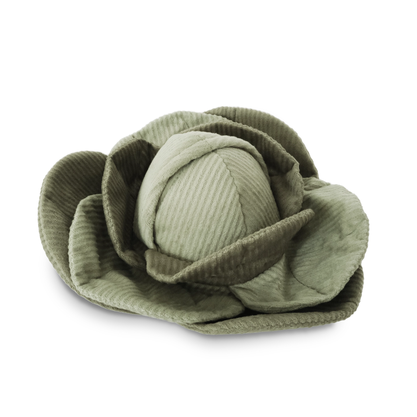 Cabbage Enrichment Toy