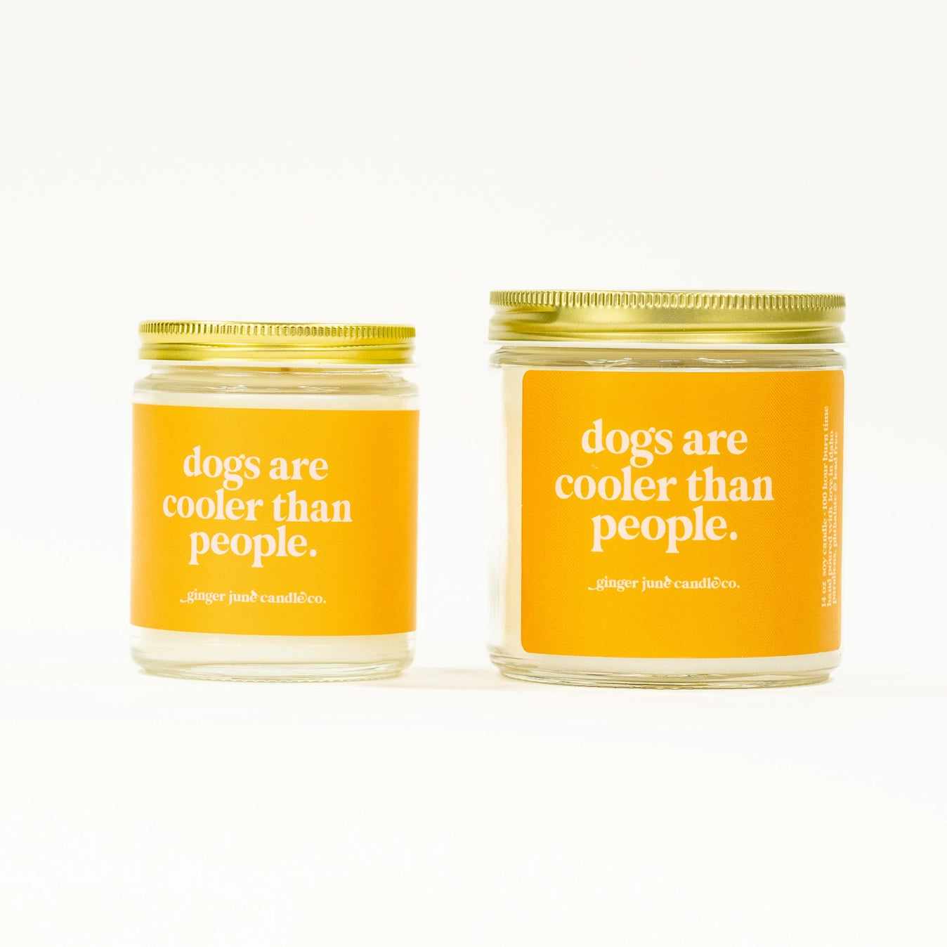 Dogs Are Cooler Than People - Endless Summer