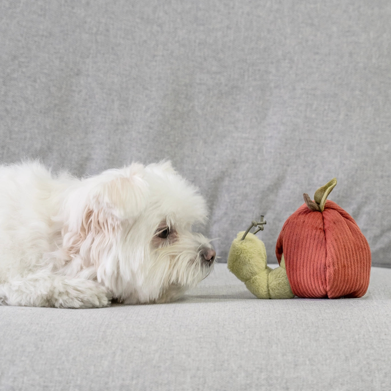 Apple Enrichment Snuffle Toy