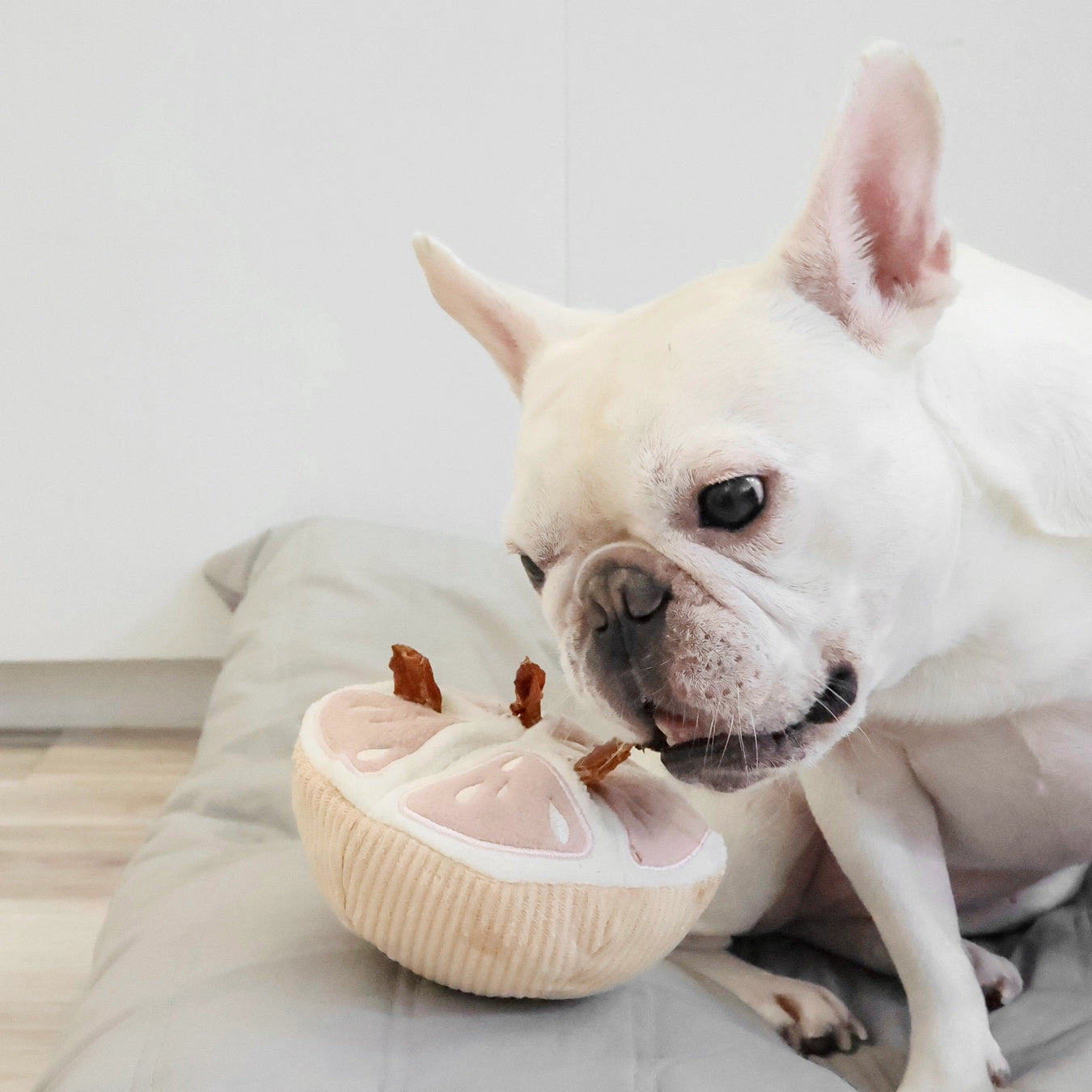 Grapefruit Dog Enrichment Toy