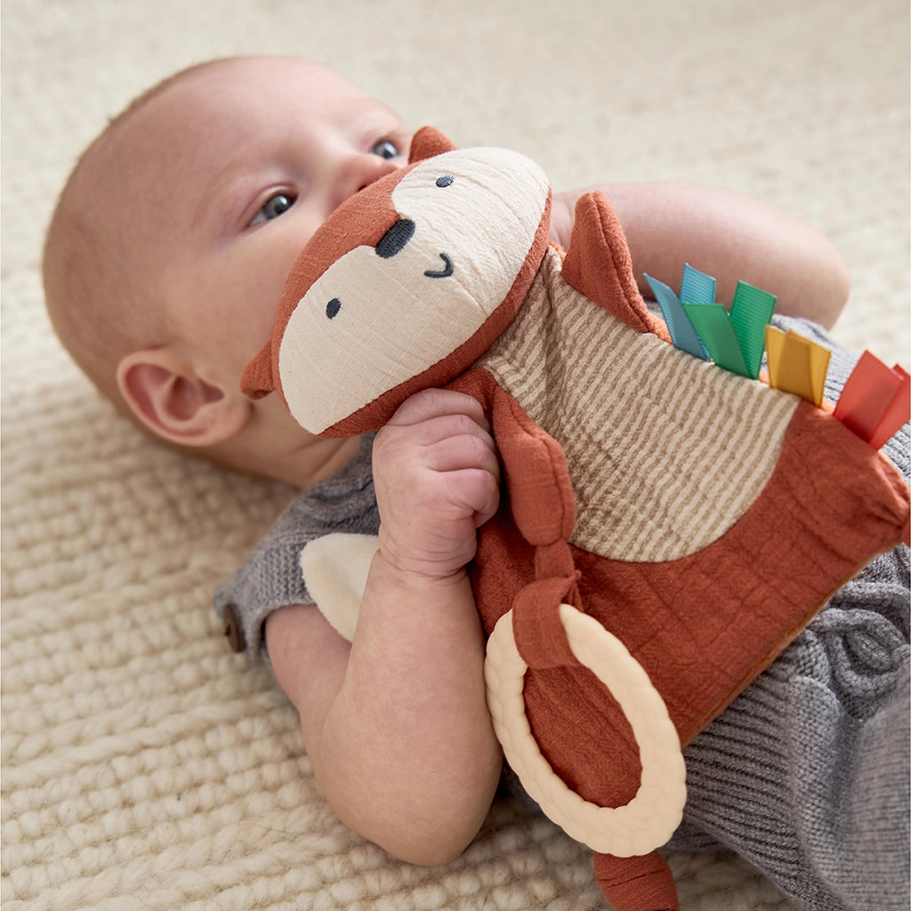 Sensory Toy with Teether Bunny
