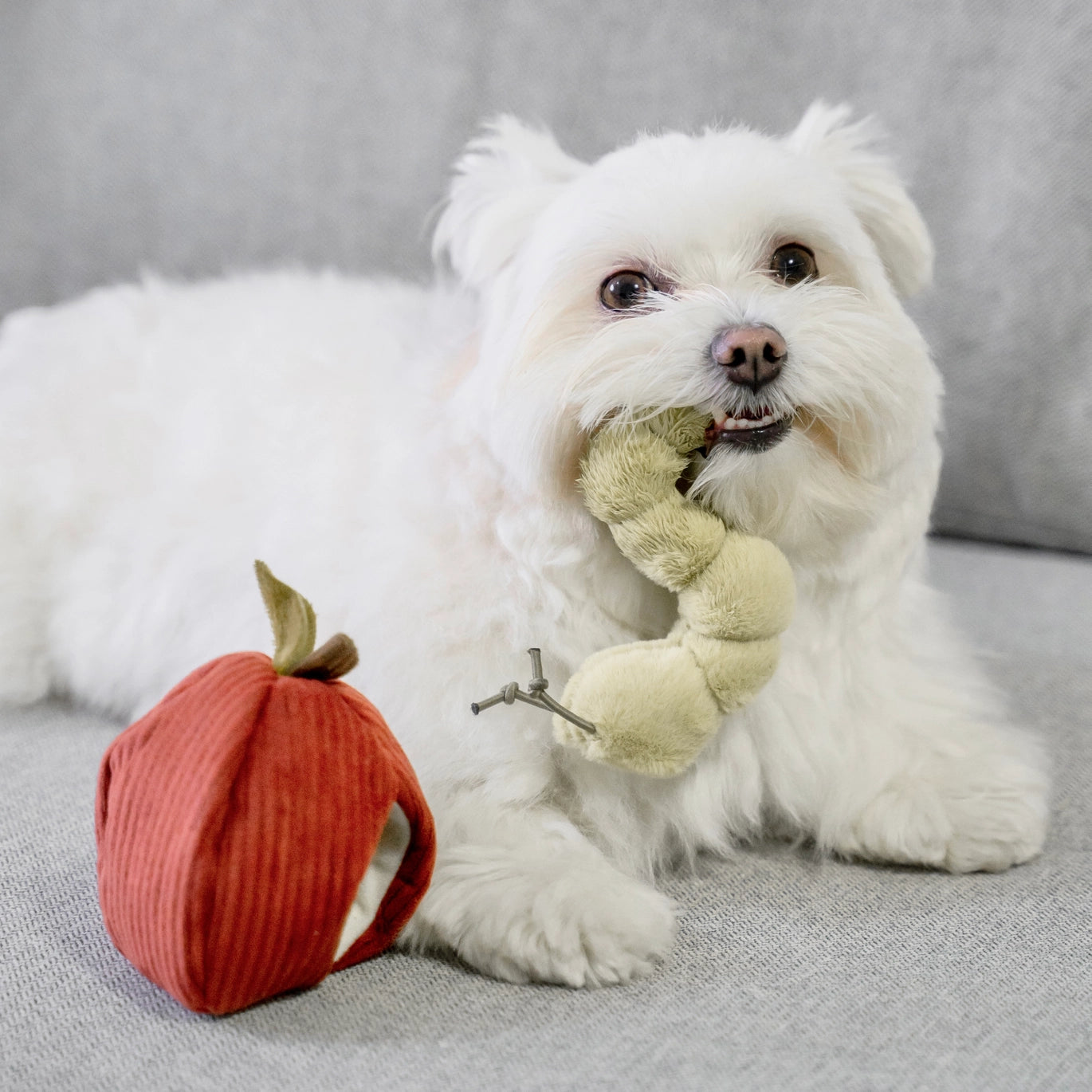 Apple Enrichment Snuffle Toy