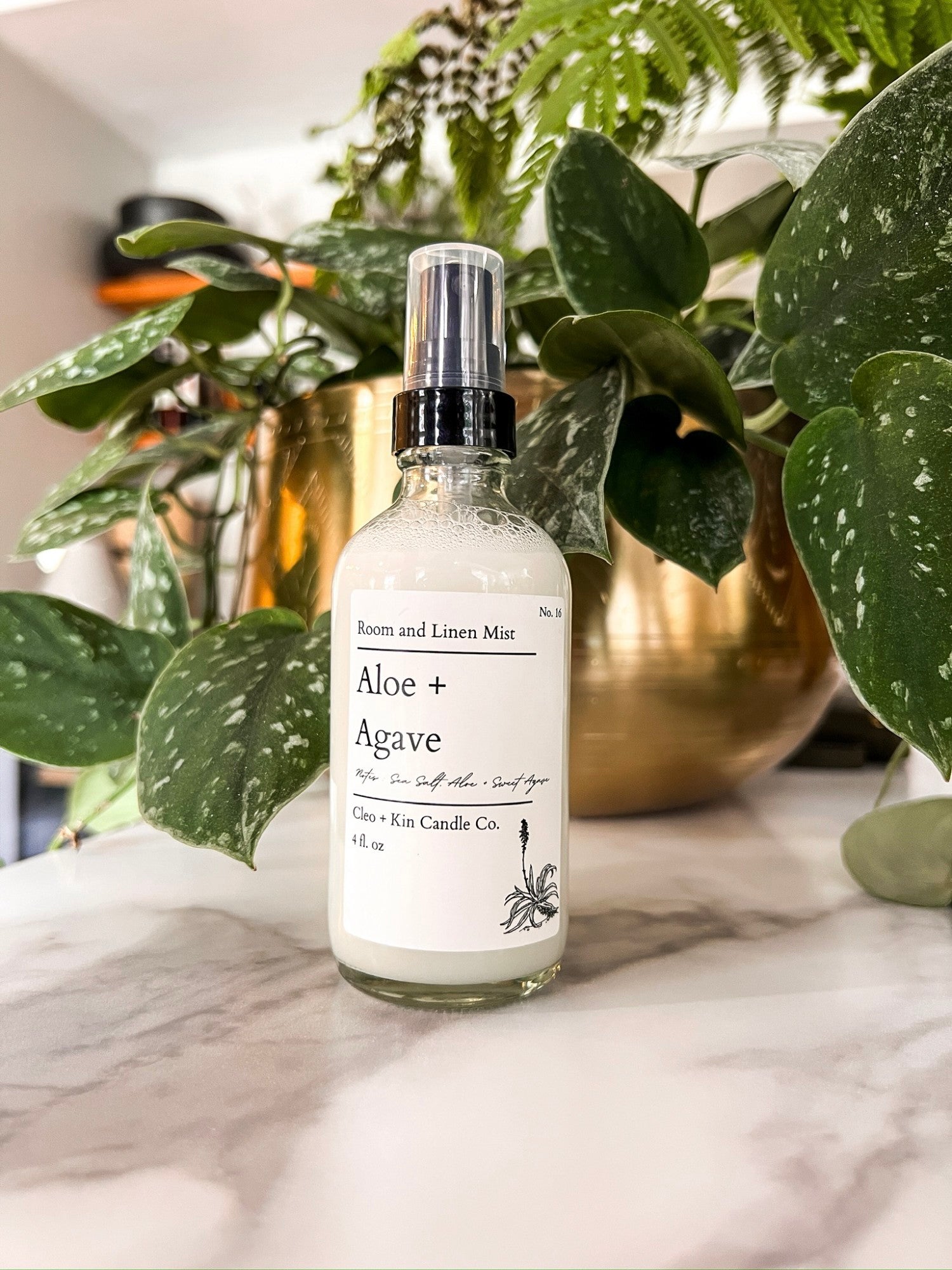 Cleo + Kin Room Spray - Aloe + Agave