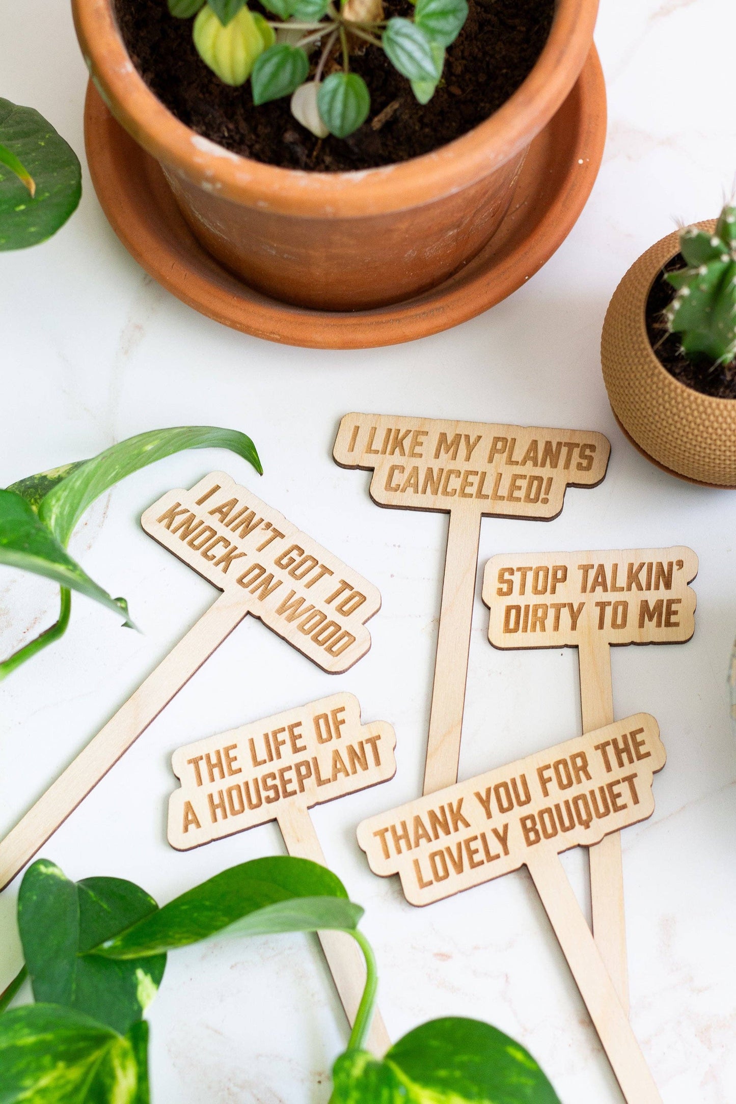 Swiftie Plant Markers