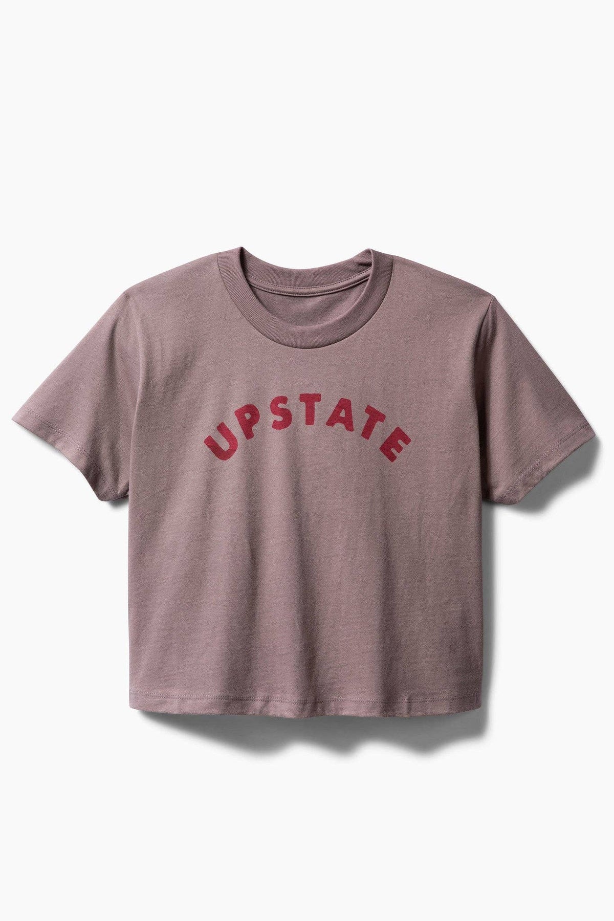 Women's Upstate Arch Heavyweight Boxy T - Harbor Blue / Gray