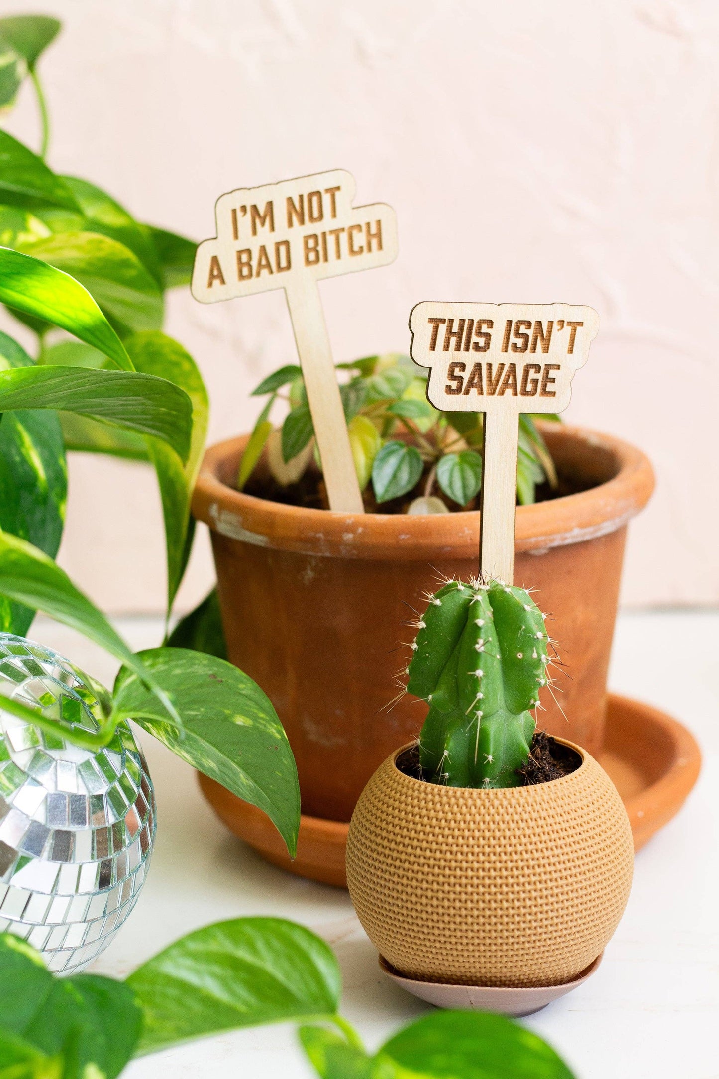 Swiftie Plant Markers