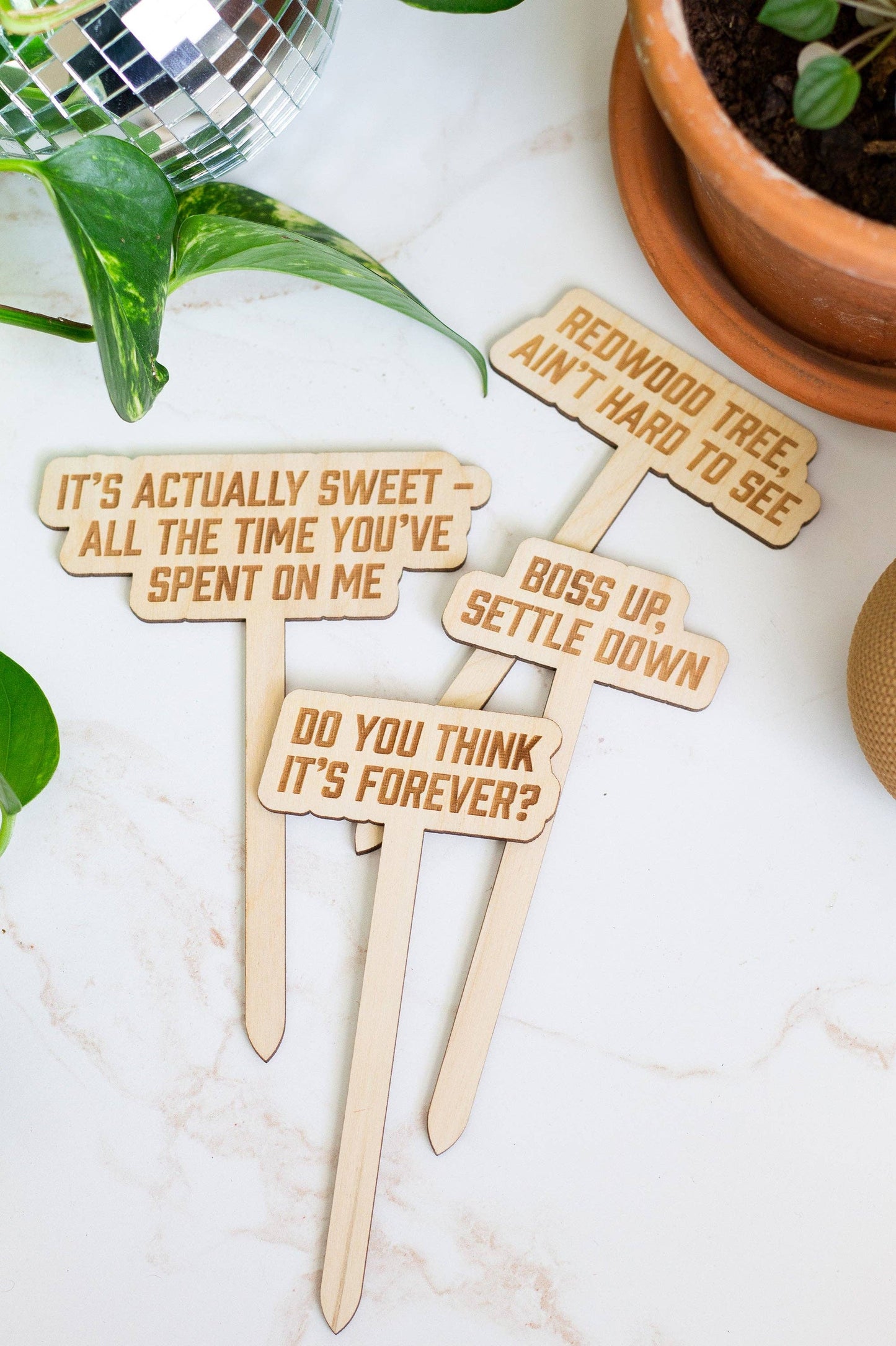 Swiftie Plant Markers