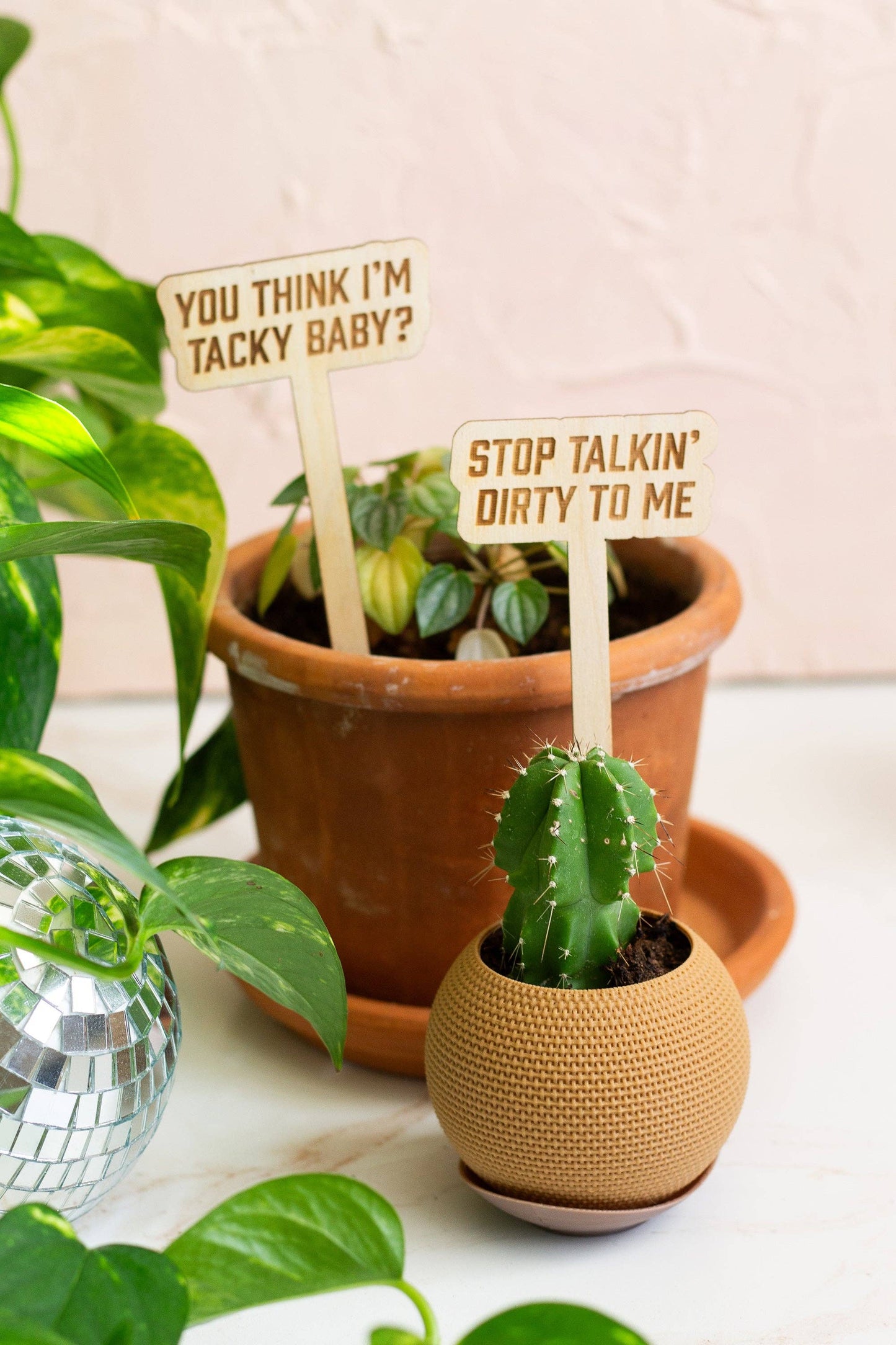 Swiftie Plant Markers