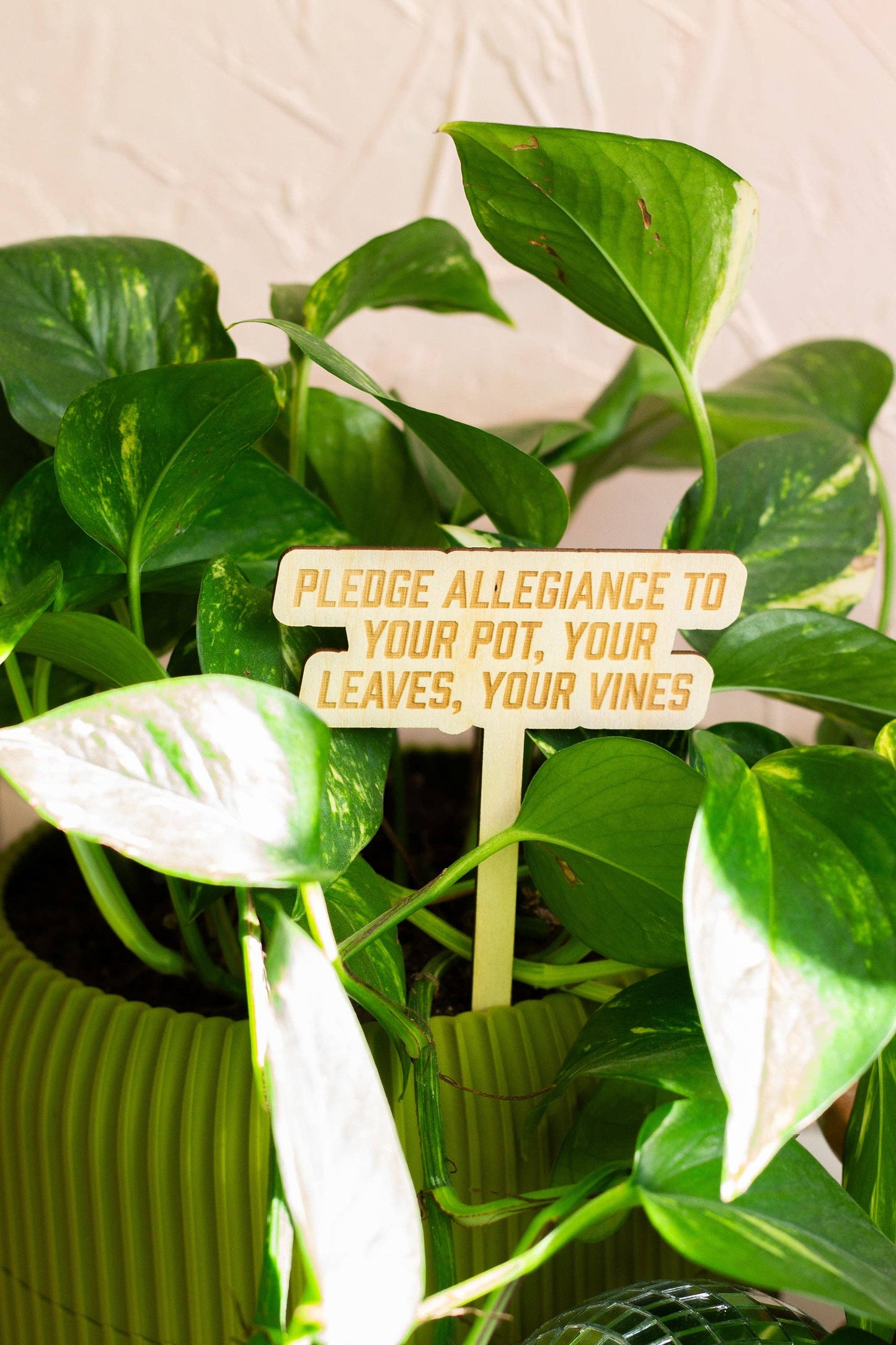 Swiftie Plant Markers