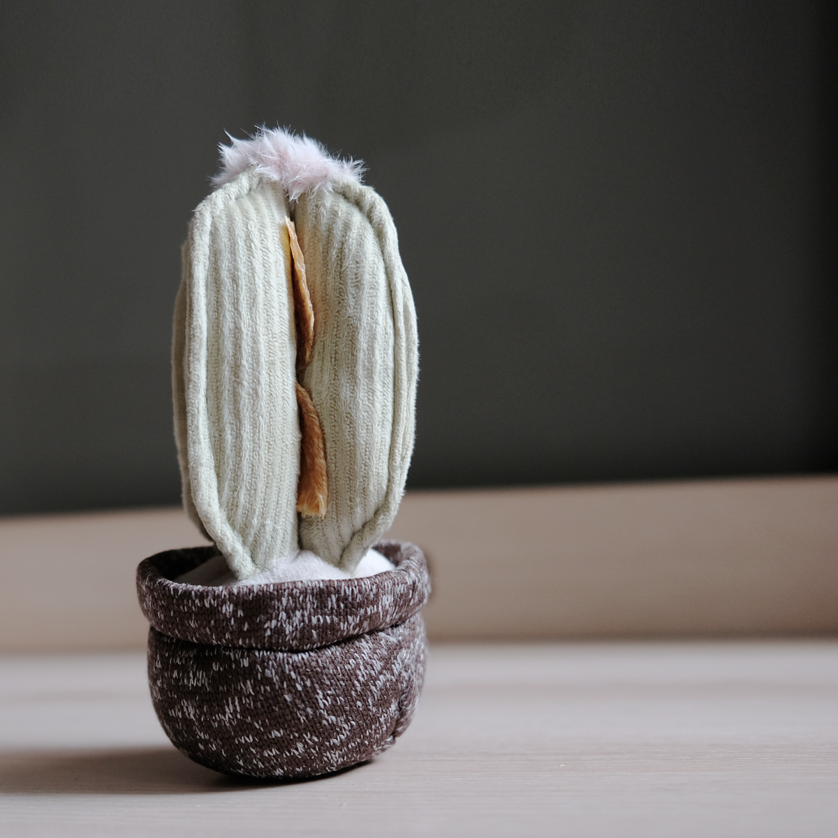 Cactus Enrichment Dog Toy