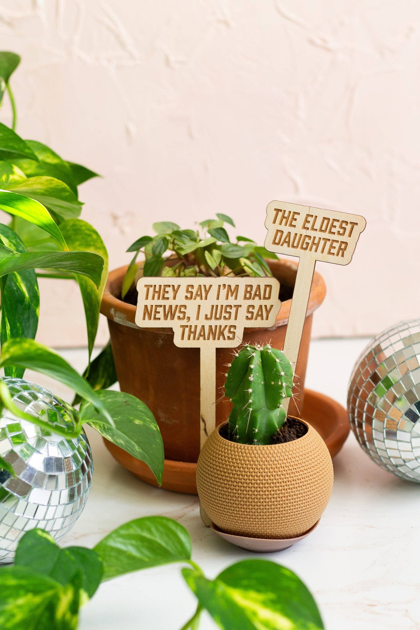 Swiftie Plant Markers