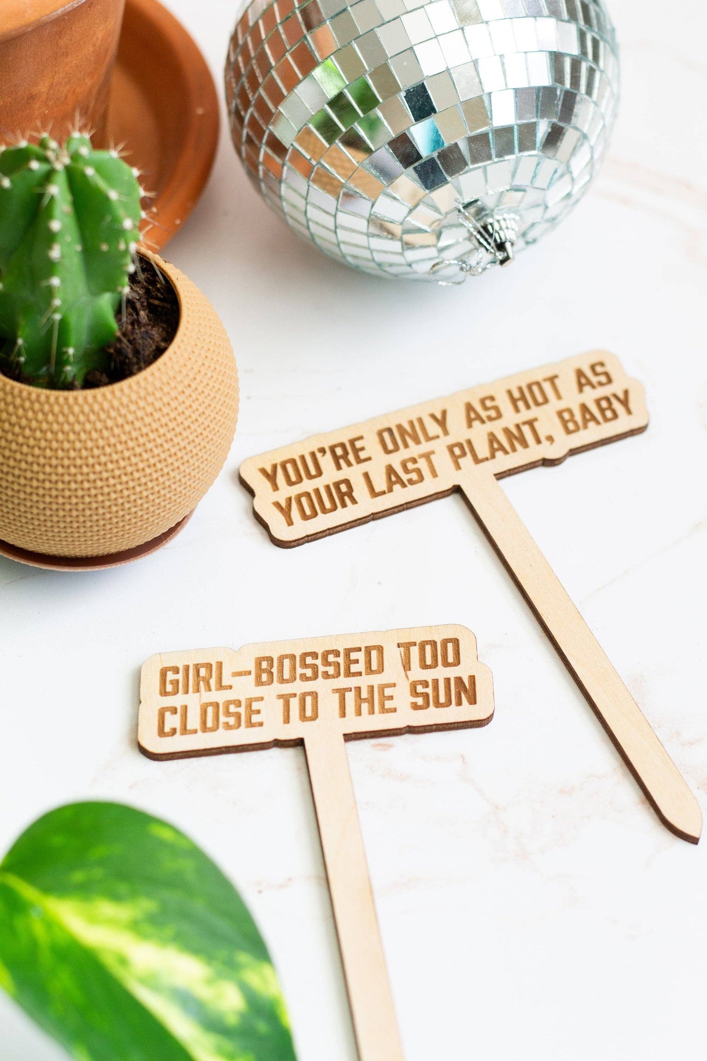 Swiftie Plant Markers