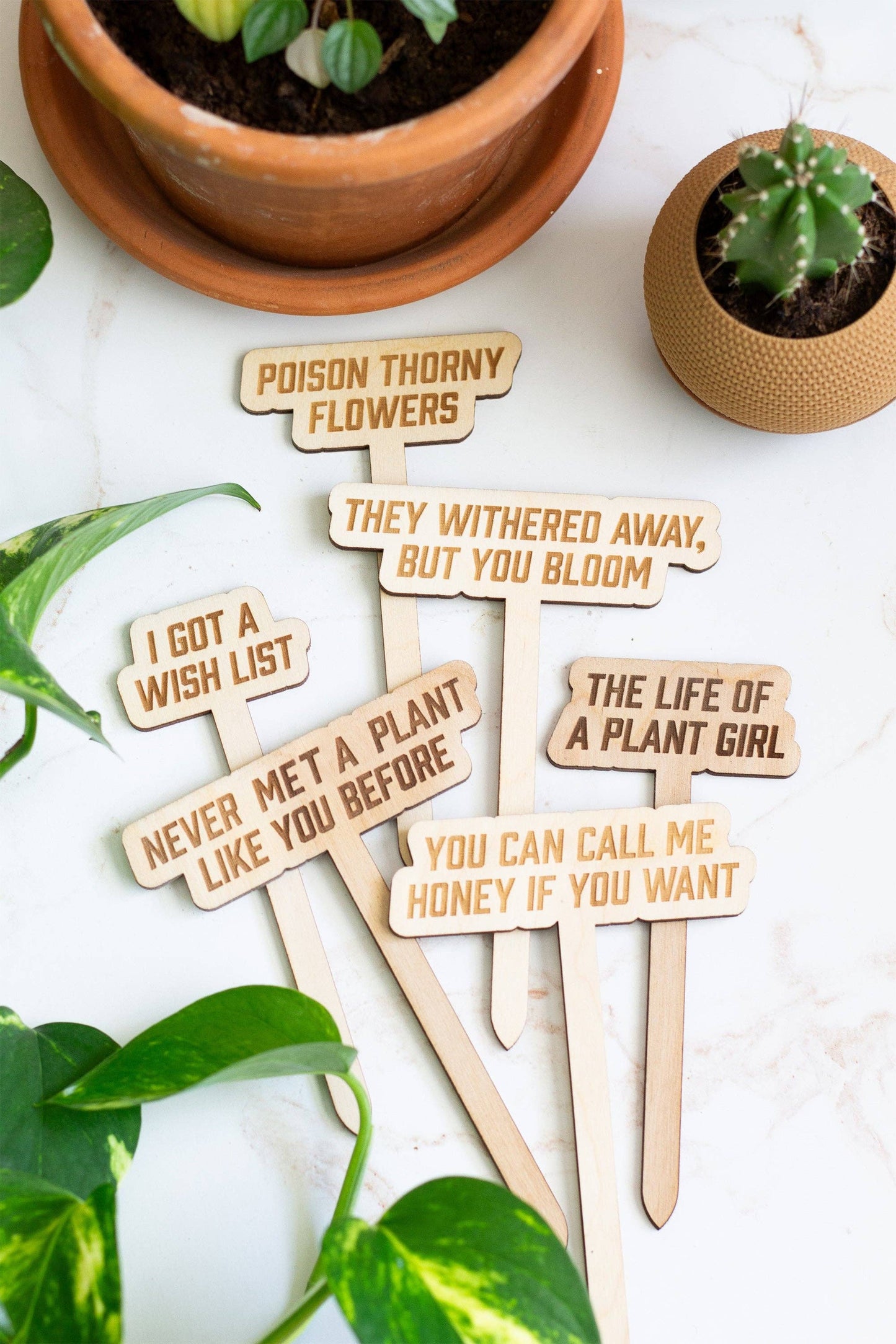 Swiftie Plant Markers