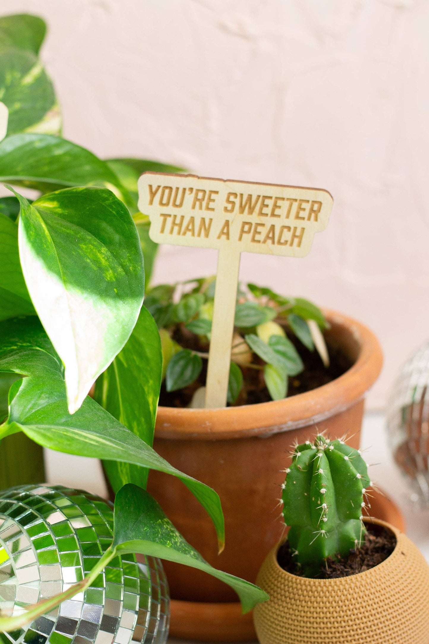 Swiftie Plant Markers