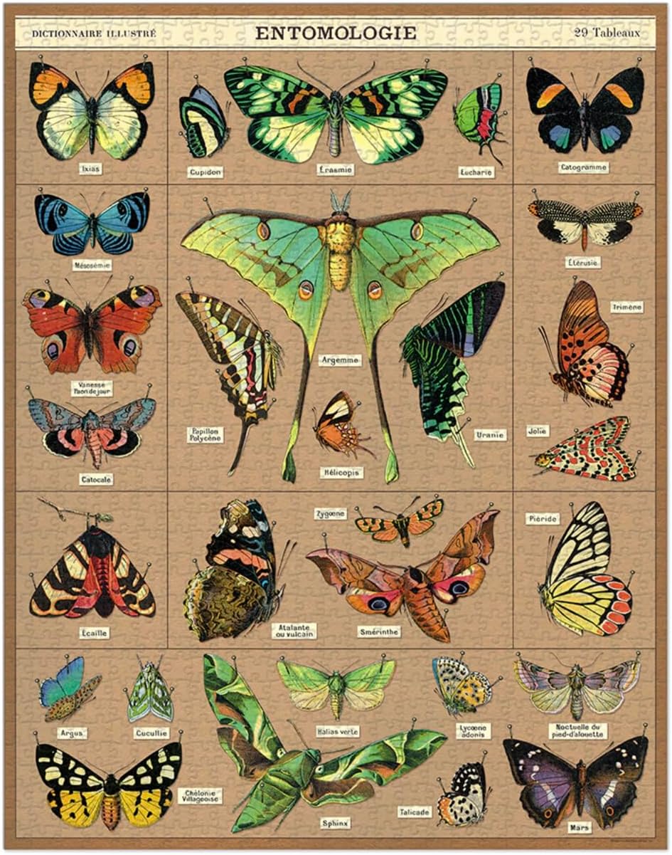 Entomology 1,000 Piece Puzzle