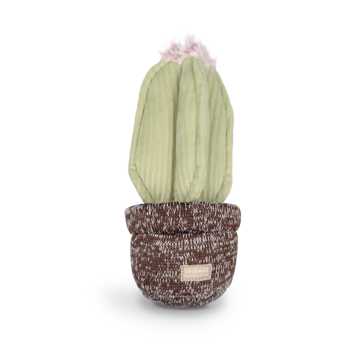 Cactus Enrichment Dog Toy