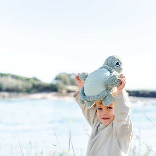 Tyler Turtle Plush