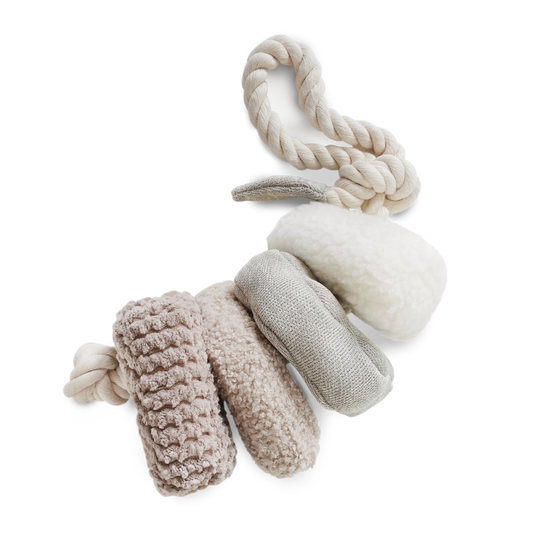 Blocs Dog Enrichment Dog Toy