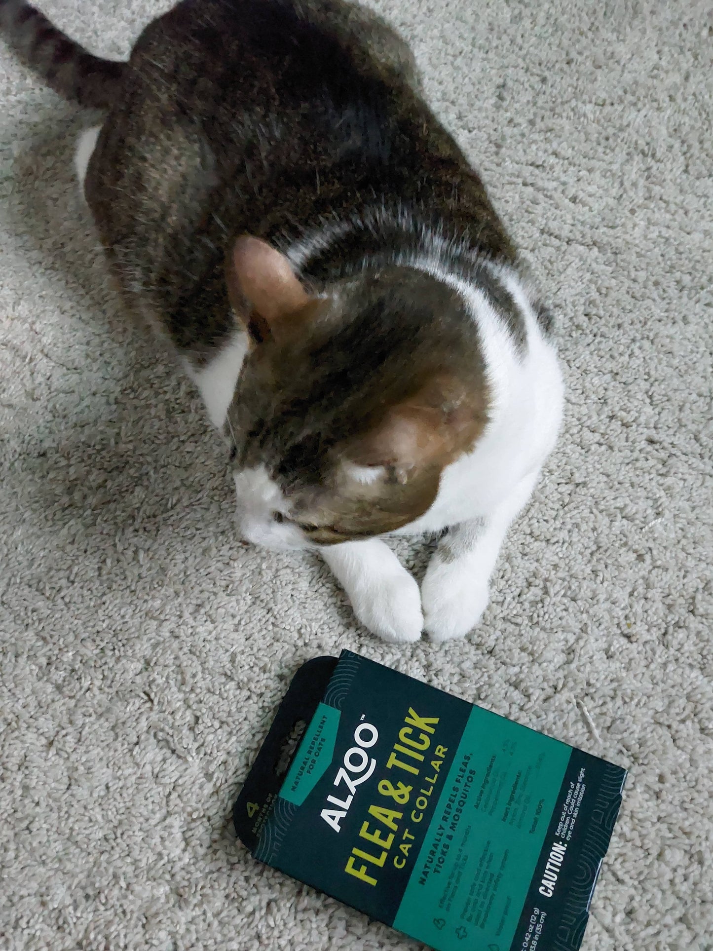 Plant-Based Flea & Tick Collar - Cat