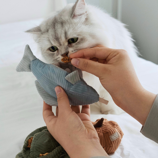 Kitty Trout
