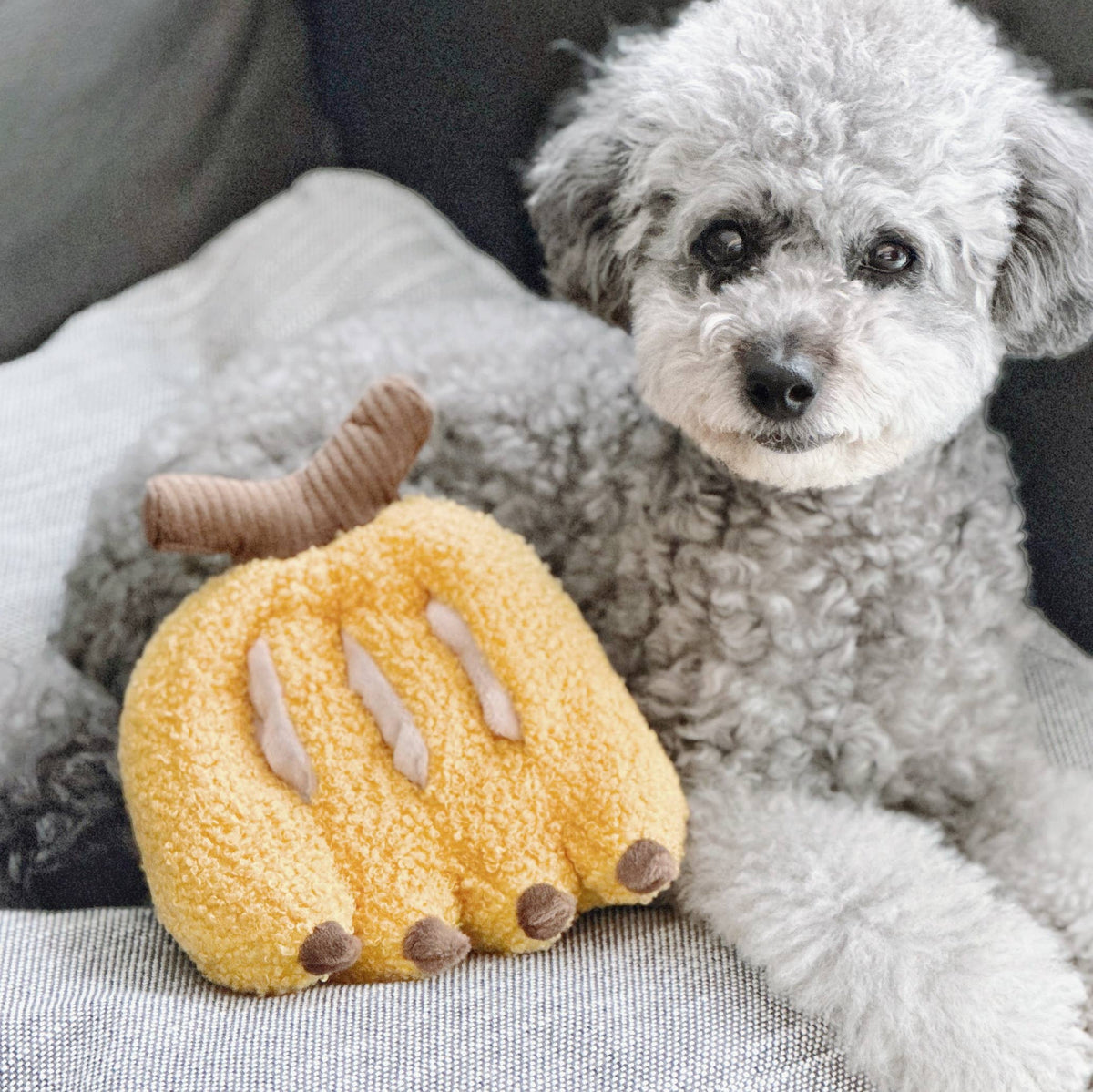 Banana Snuffle Dog Toy