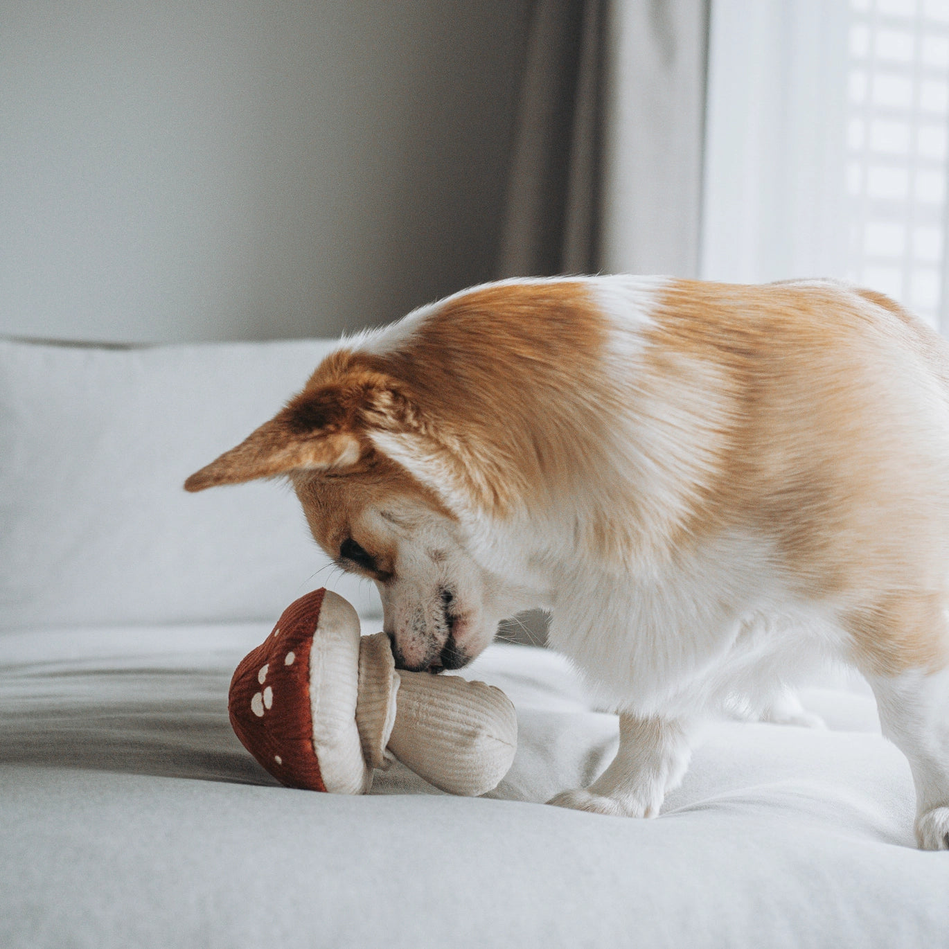 Shroom Enrichment Snuffle Toy
