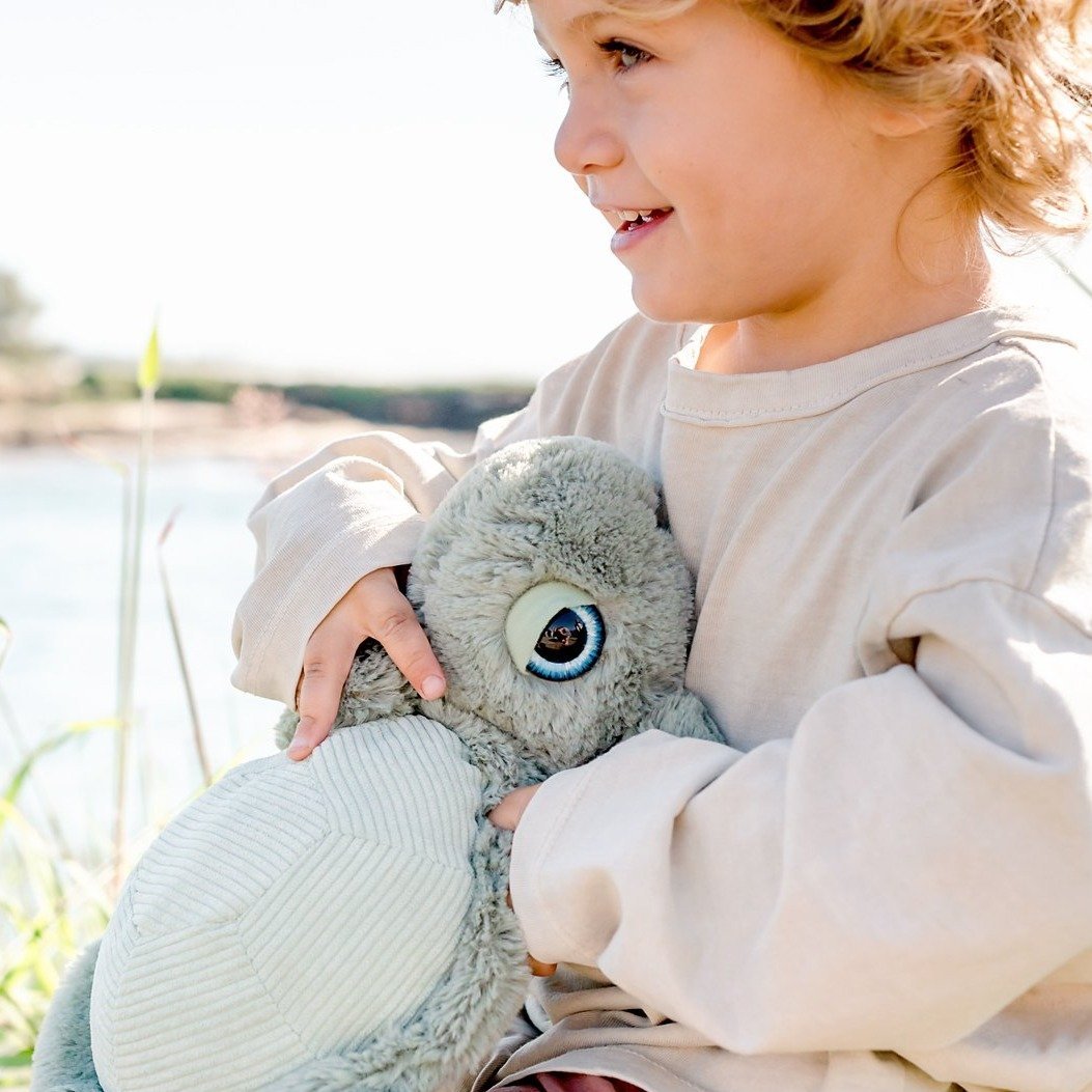 Tyler Turtle Plush