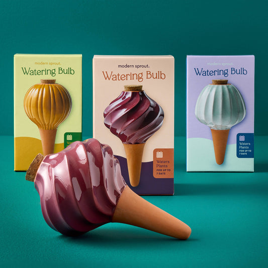 Terracotta Watering Bulb