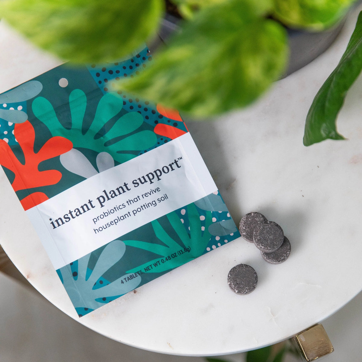 Instant Plant Support Houseplant & Indoor Plant Probiotics – Cleo + Kin