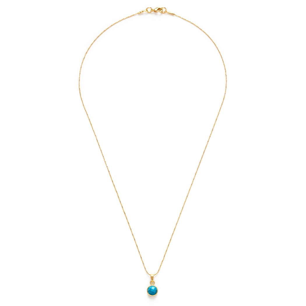 Birthstone Necklace -  January
