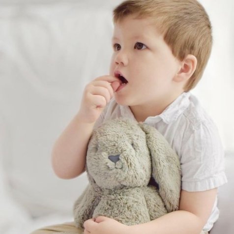 Beau Bunny Plush