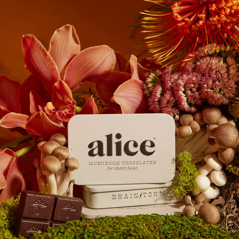 Alice Mushrooms -  Brainstorm