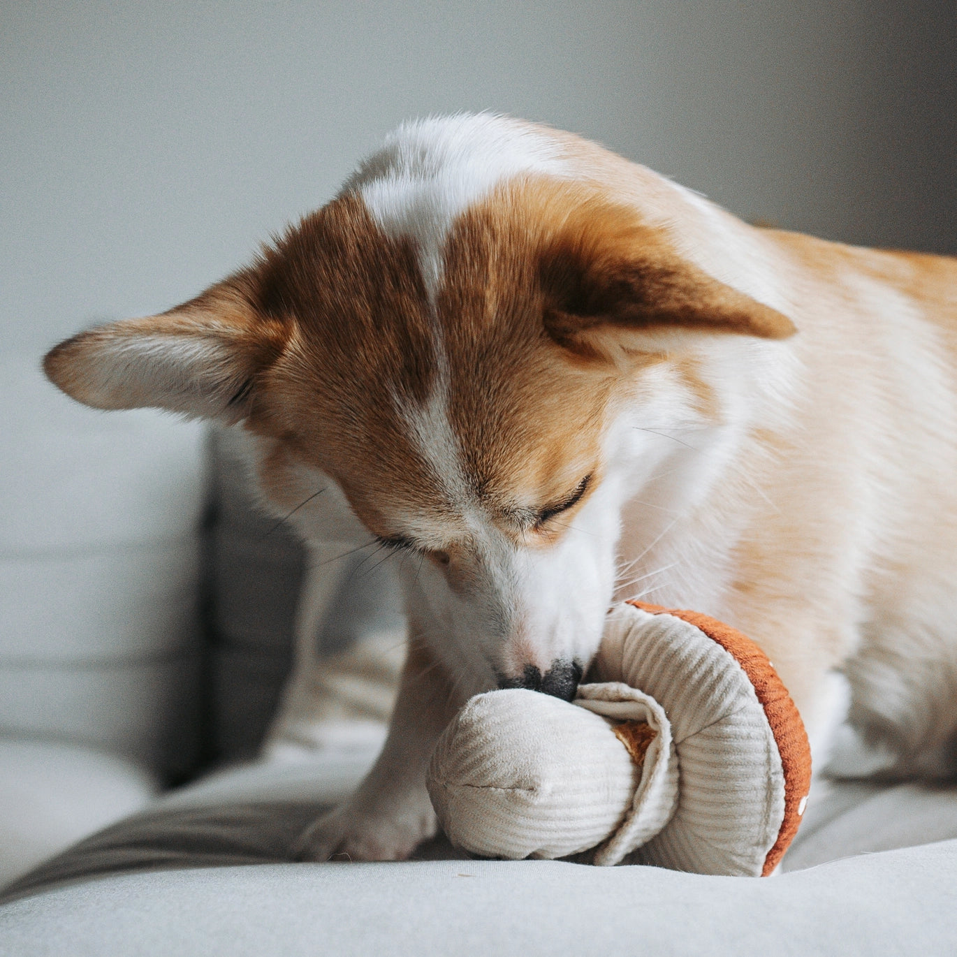 Shroom Enrichment Snuffle Toy