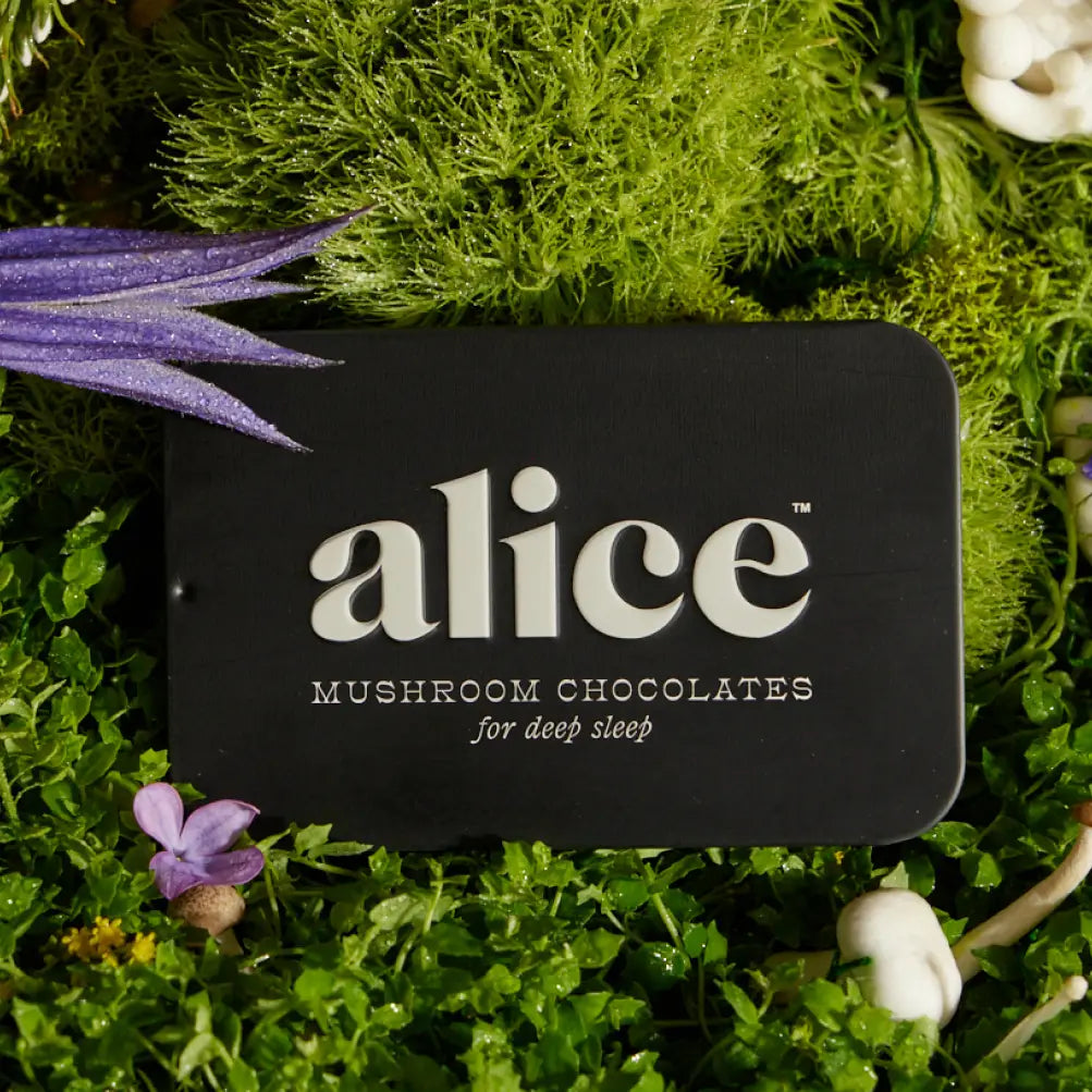 Alice Mushrooms -  Brainstorm