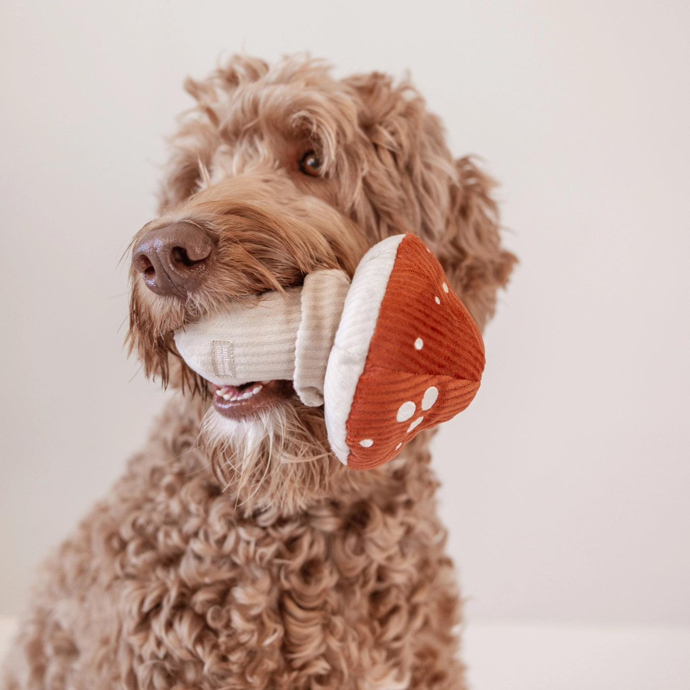 Shroom Enrichment Snuffle Toy
