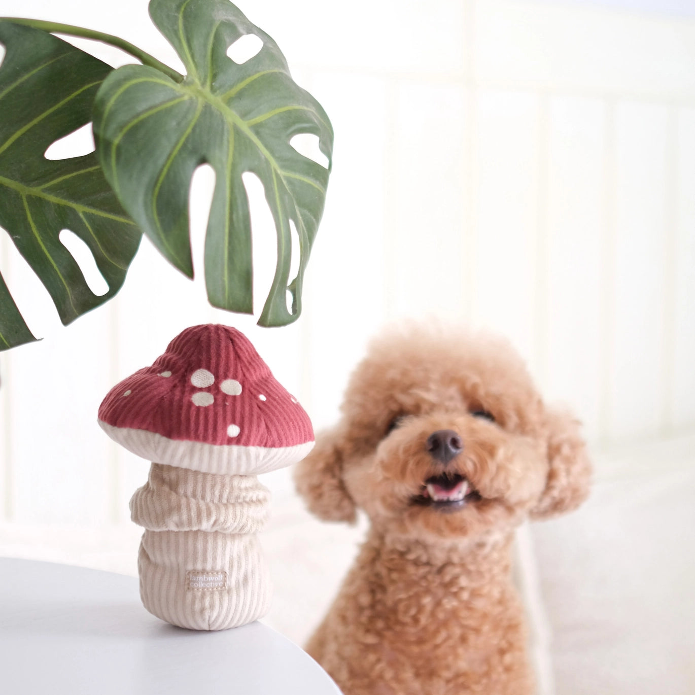 Shroom Enrichment Snuffle Toy